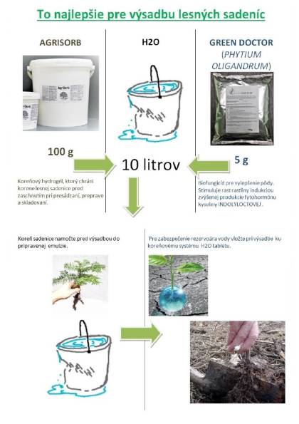To najlepšie pre lesnú sadenicu To najlepšie pre lesnú sadenicu