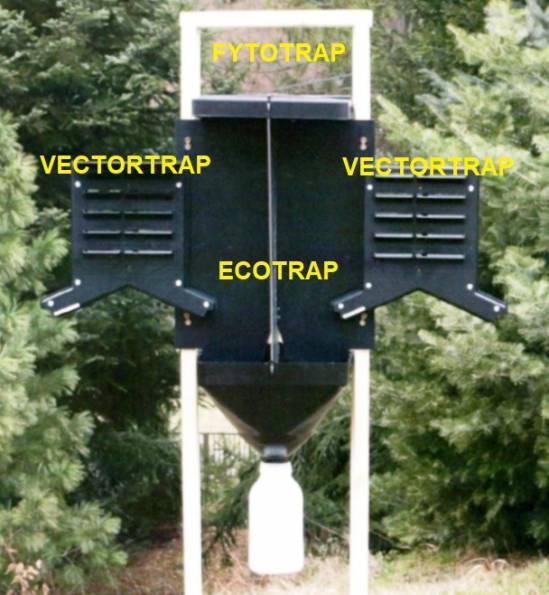 Lapa FYTOTRAP obr. 1